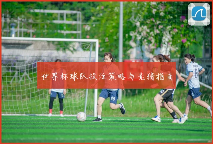 世界杯球队投注策略与竞猜指南